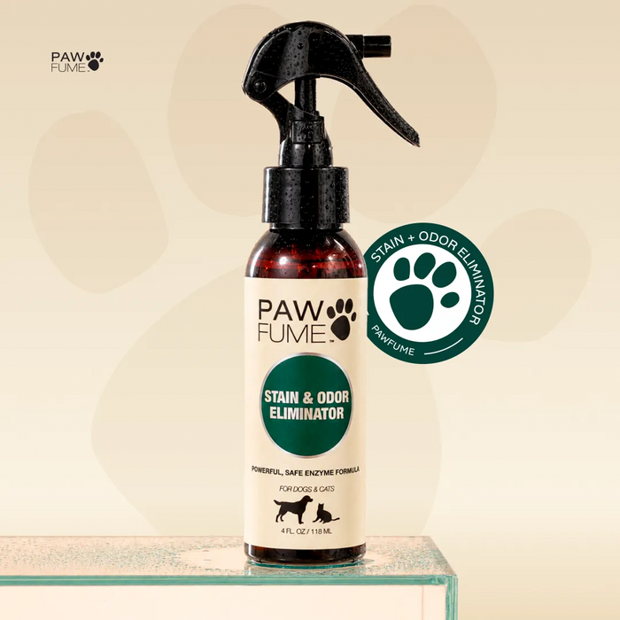 Stain & Odor Eliminator