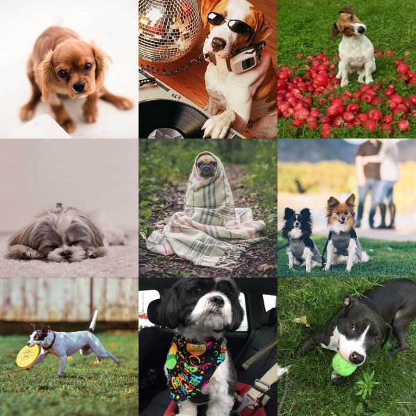We are on Instagram