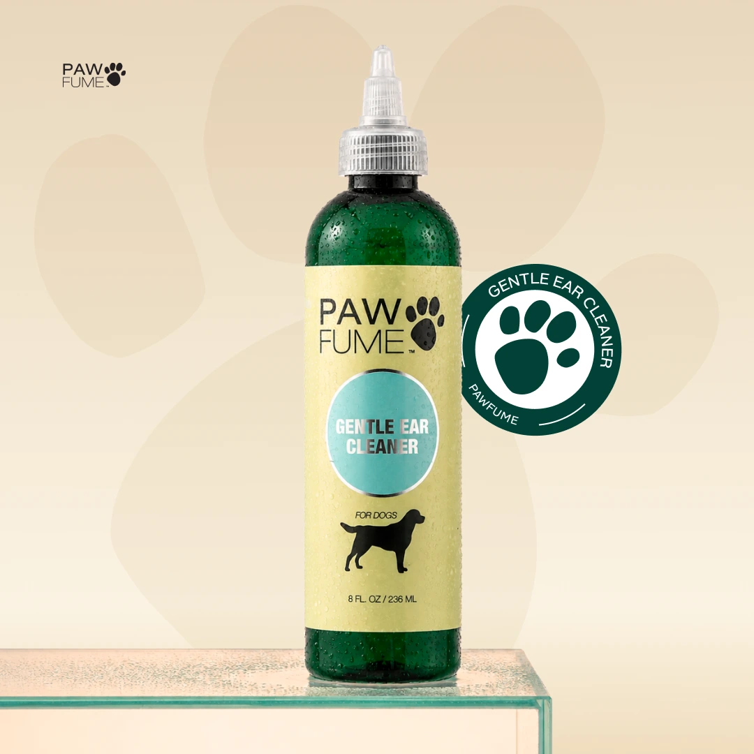 Gentle Ear Cleaner