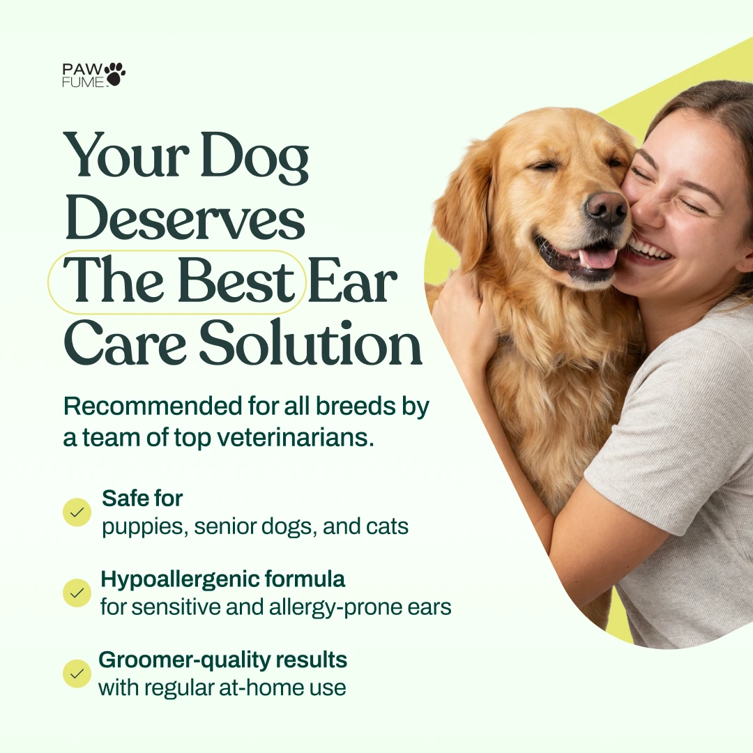 Gentle Ear Cleaner 6 Pack