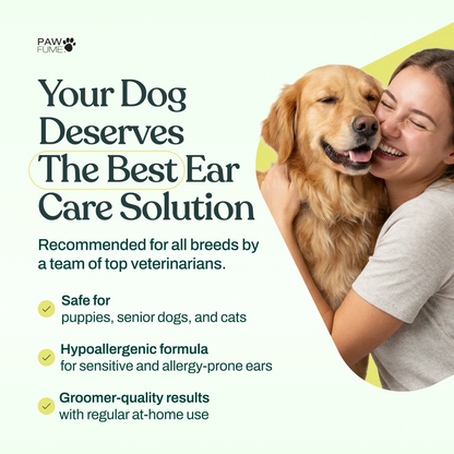 Gentle Ear Cleaner 6 Pack