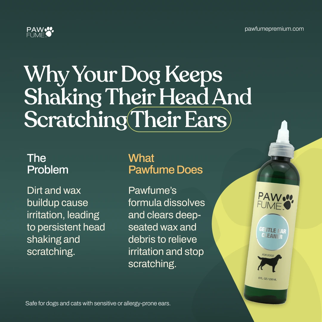 Gentle Ear Cleaner 6 Pack