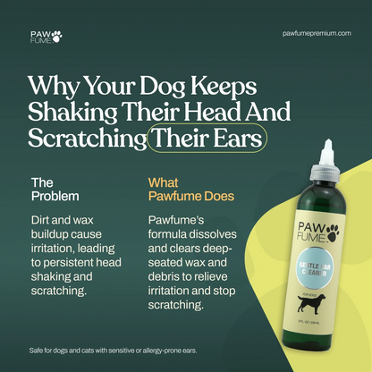 Gentle Ear Cleaner 6 Pack