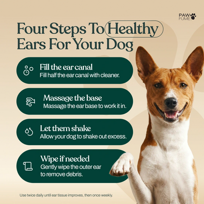 Gentle Ear Cleaner 6 Pack