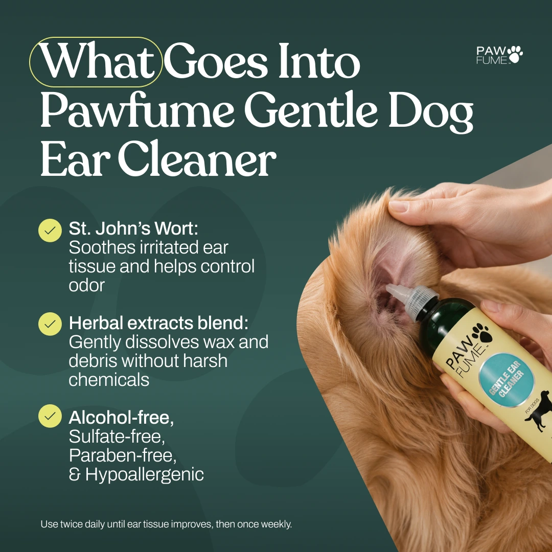 Gentle Ear Cleaner 6 Pack