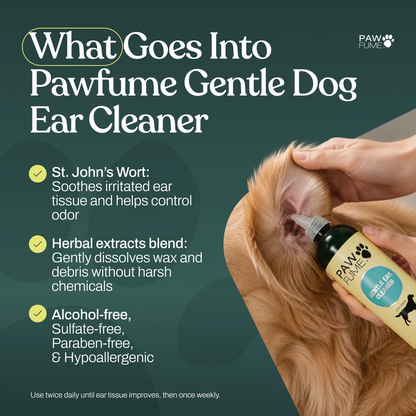 Gentle Ear Cleaner 6 Pack