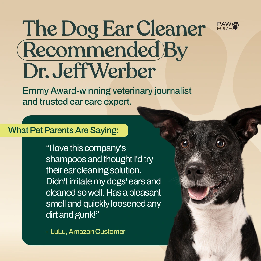 Gentle Ear Cleaner 6 Pack