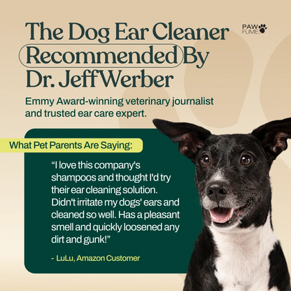 Gentle Ear Cleaner 6 Pack