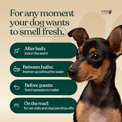 Show Dog Grooming Spray