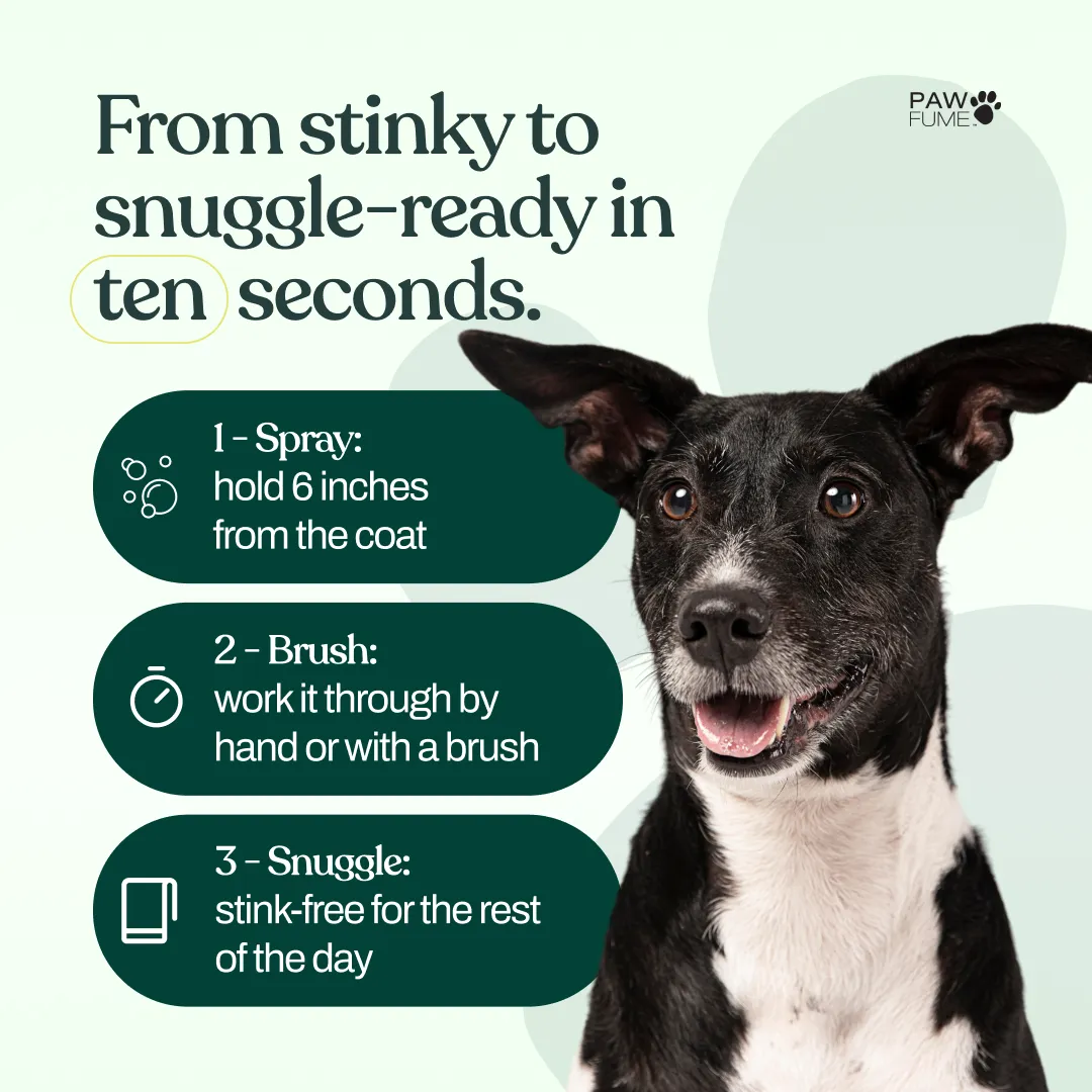 Show Dog Grooming Spray