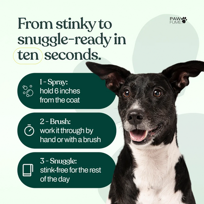 Show Dog Grooming Spray