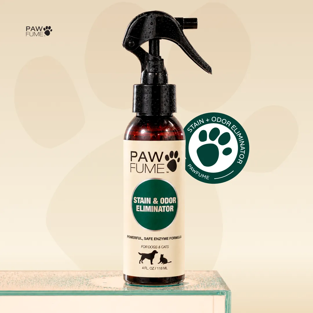 Stain & Odor Eliminator