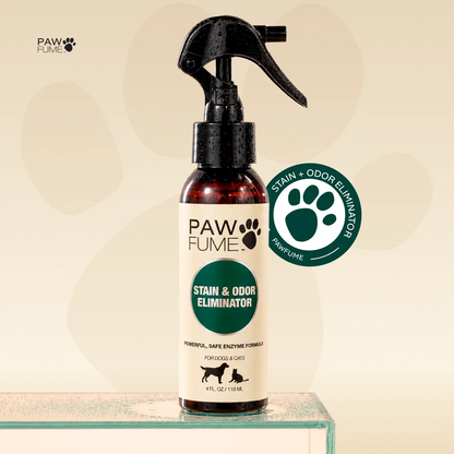 Stain & Odor Eliminator
