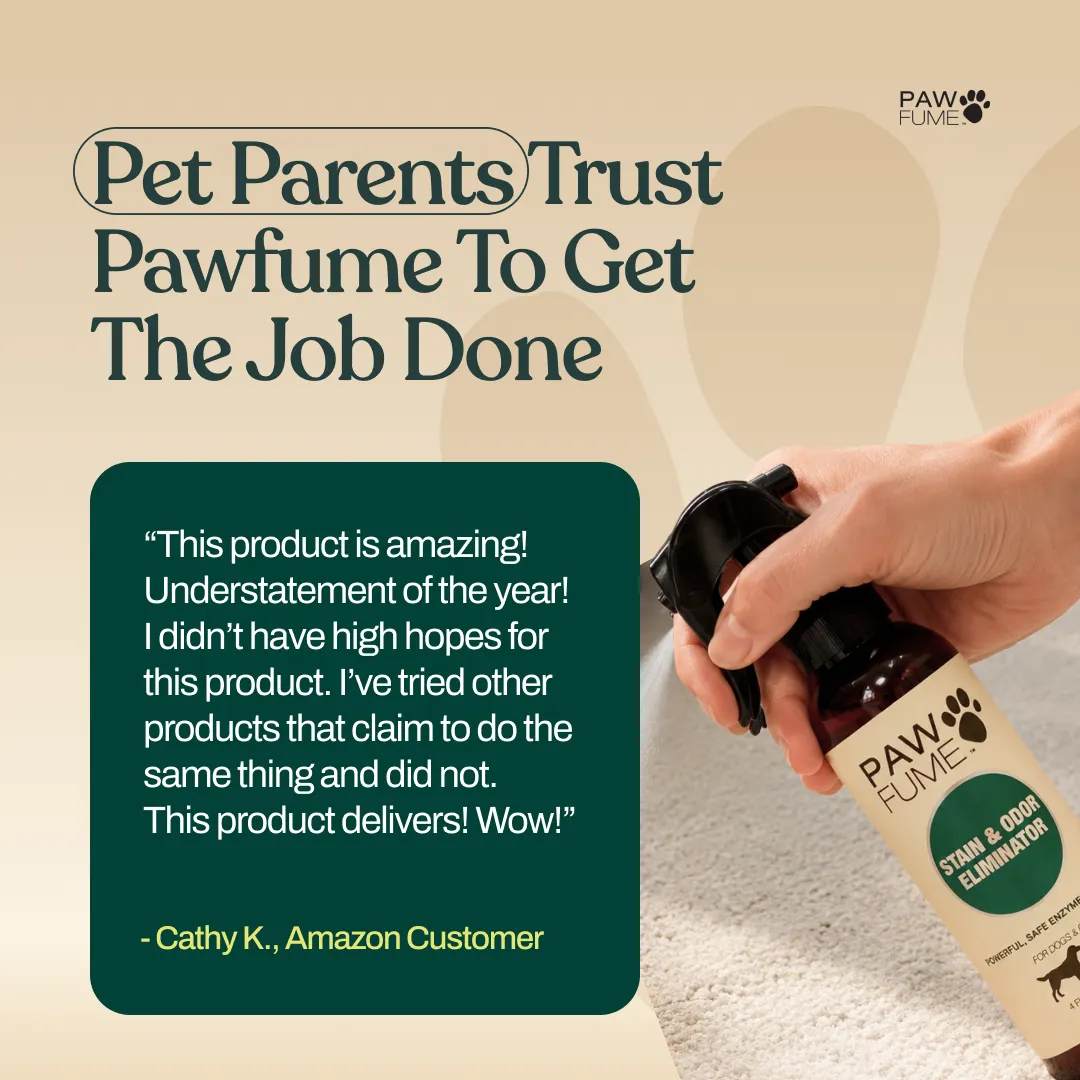 Stain & Odor Eliminator