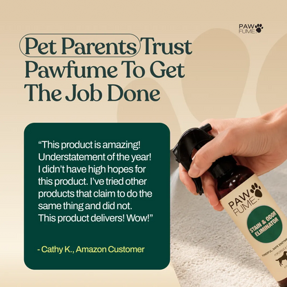 Stain & Odor Eliminator
