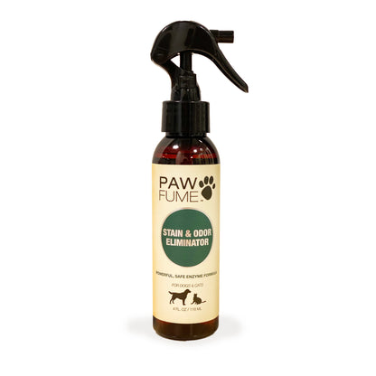 Stain & Odor Eliminator
