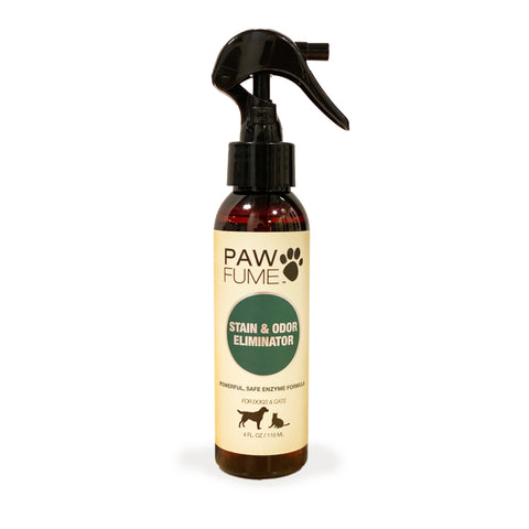 Stain & Odor Eliminator
